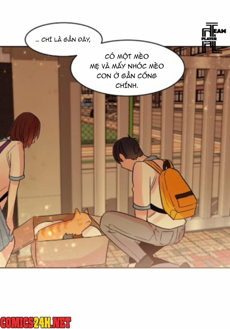 Chàng Mèo Trong Hộp Carton 16 trang 20