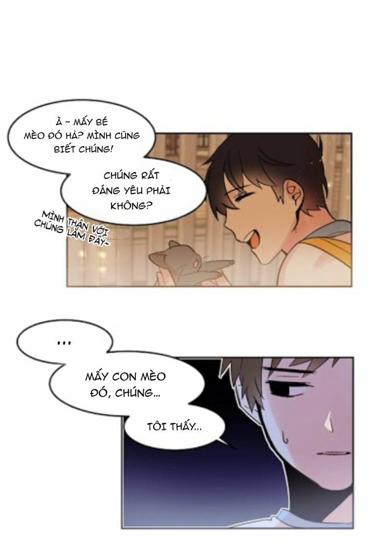 Chàng Mèo Trong Hộp Carton 16 trang 21