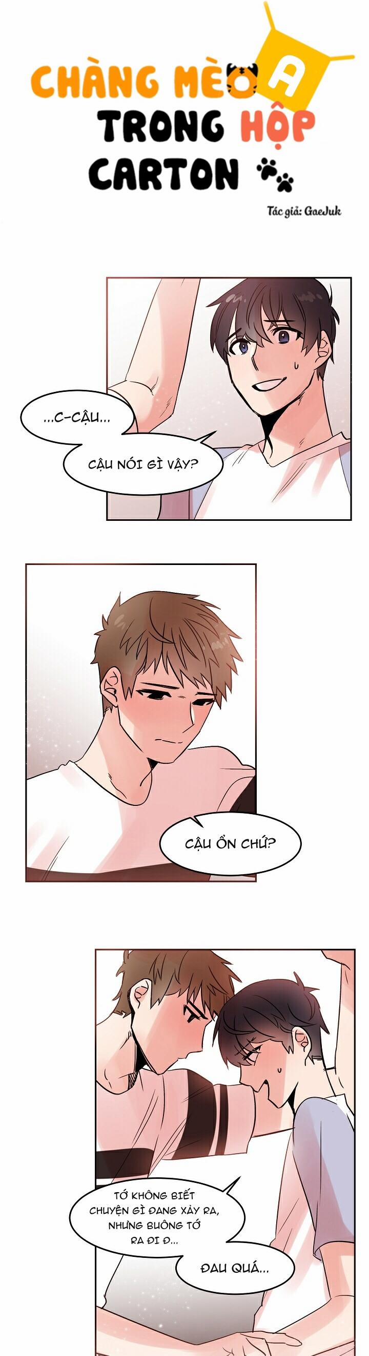 Chàng Mèo Trong Hộp Carton 17.1 trang 1