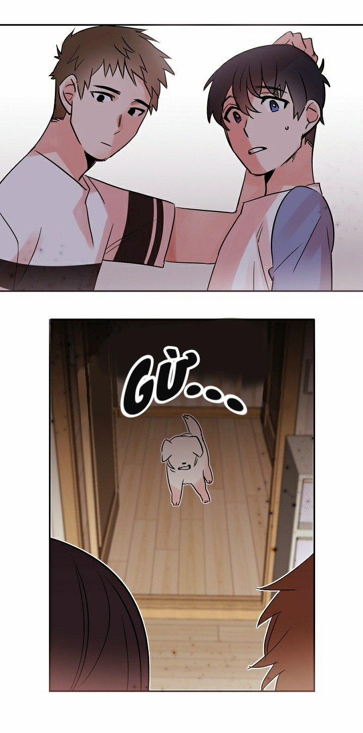 Chàng Mèo Trong Hộp Carton 17 trang 8