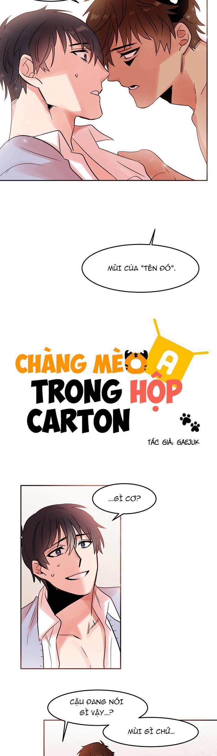 Chàng Mèo Trong Hộp Carton 18.1 trang 1