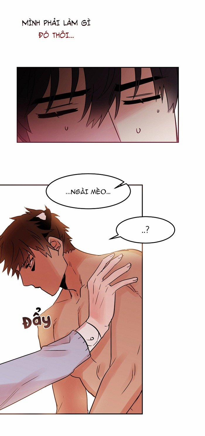 Chàng Mèo Trong Hộp Carton 18 trang 37