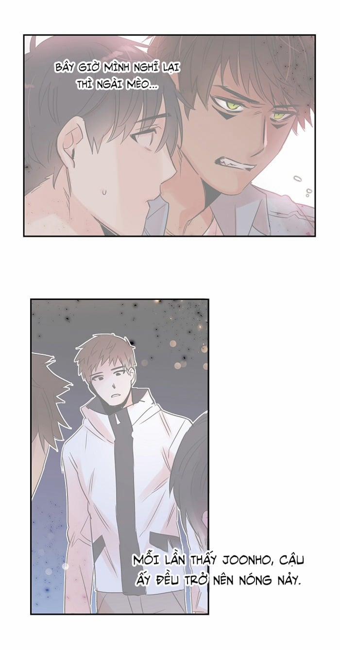 Chàng Mèo Trong Hộp Carton 18 trang 7