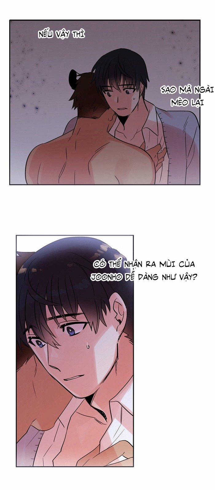 Chàng Mèo Trong Hộp Carton 18 trang 9