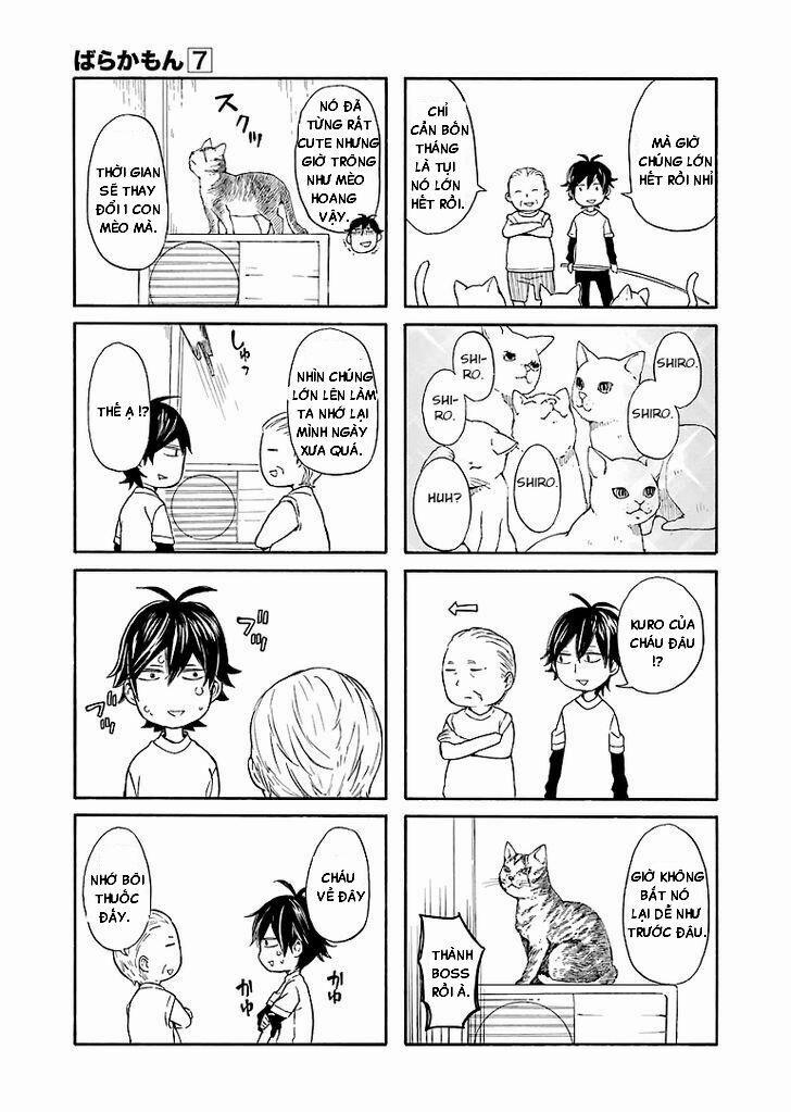 Chàng Nghệ Sĩ Lưu Lạc 55 trang 5