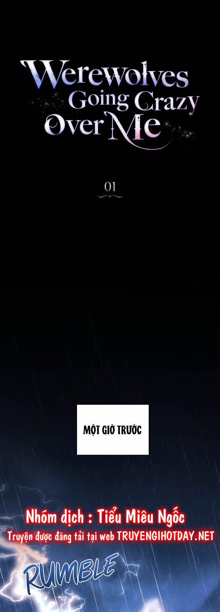 Chàng Người Sói Phát Điên Vì Tôi 1 trang 12