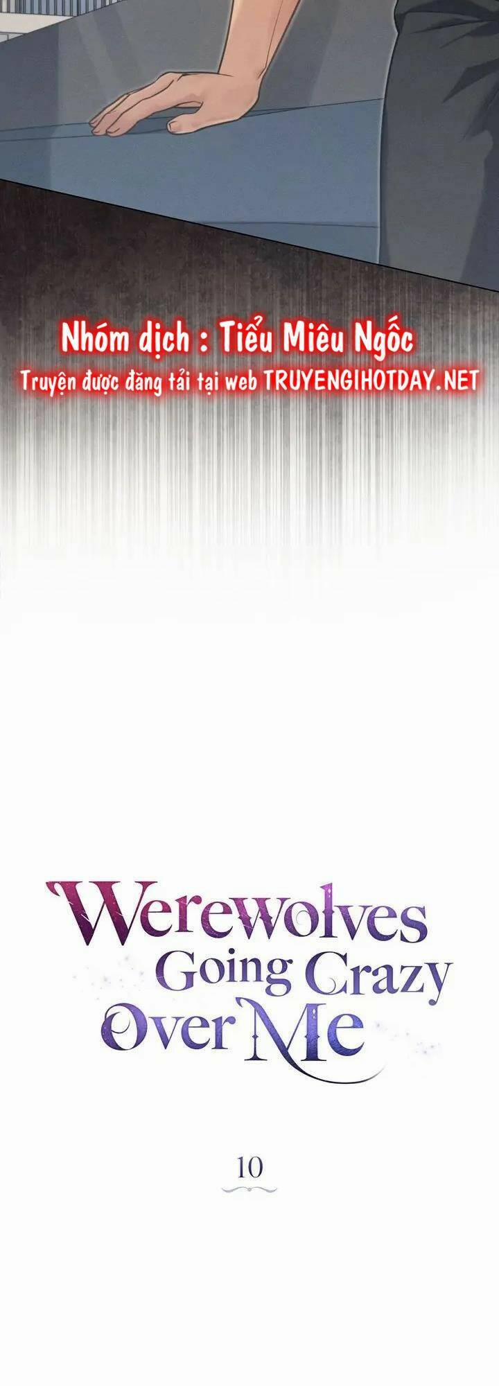 Chàng Người Sói Phát Điên Vì Tôi 10 trang 21