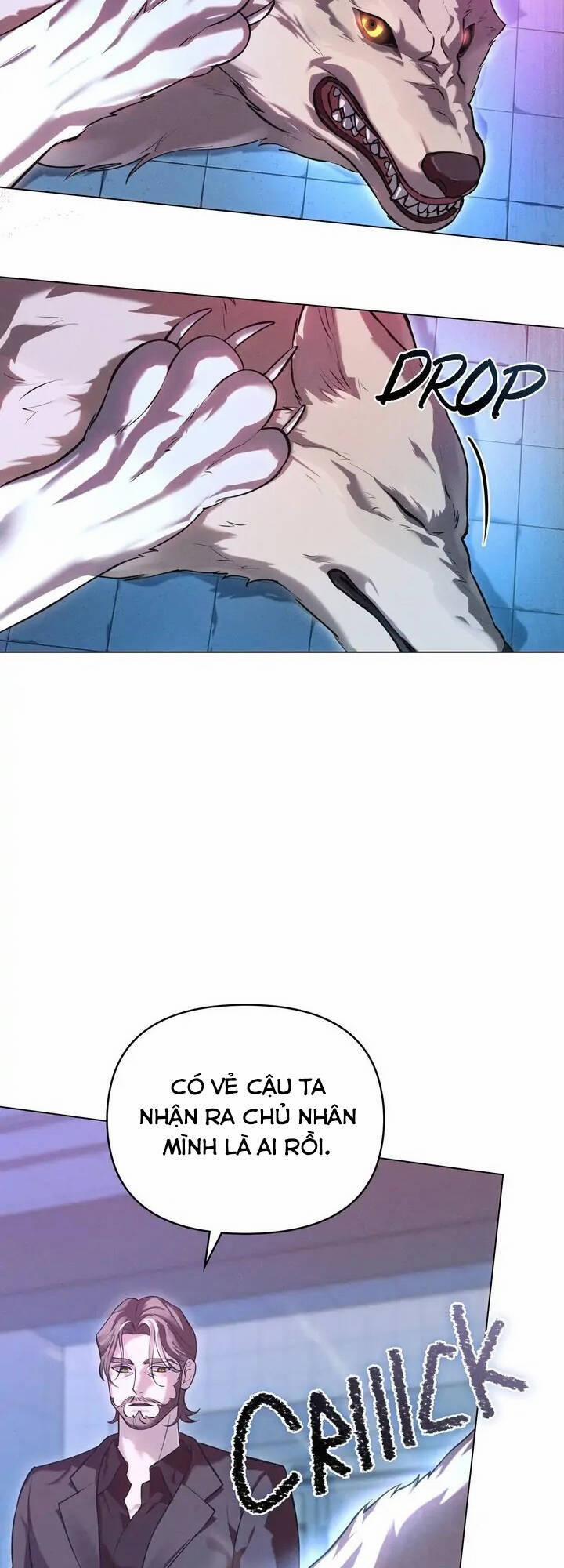 Chàng Người Sói Phát Điên Vì Tôi 14 trang 13