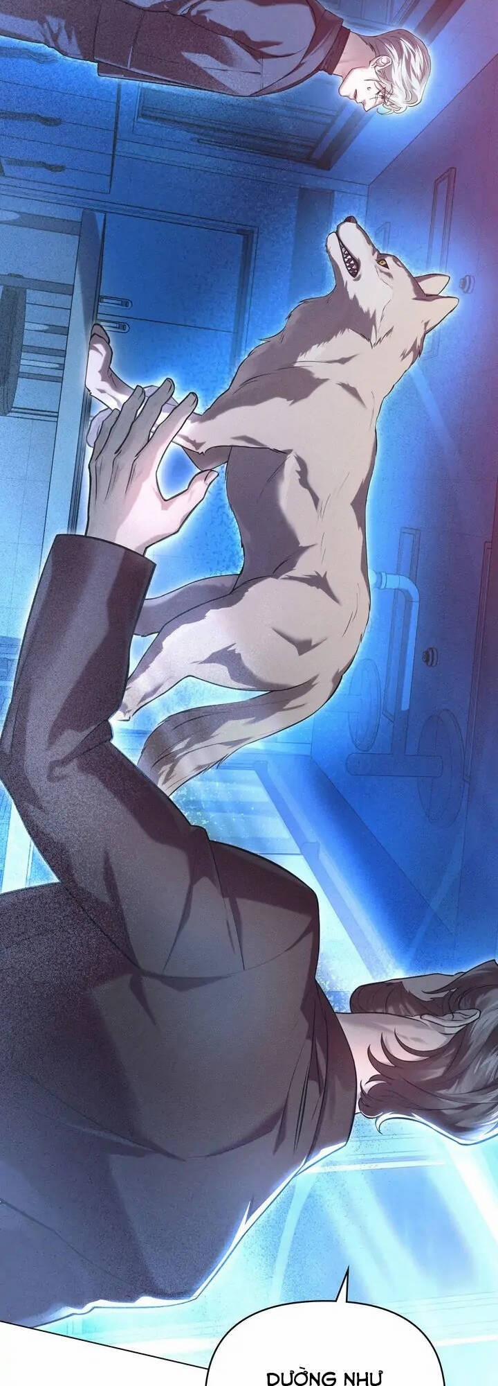 Chàng Người Sói Phát Điên Vì Tôi 14 trang 2