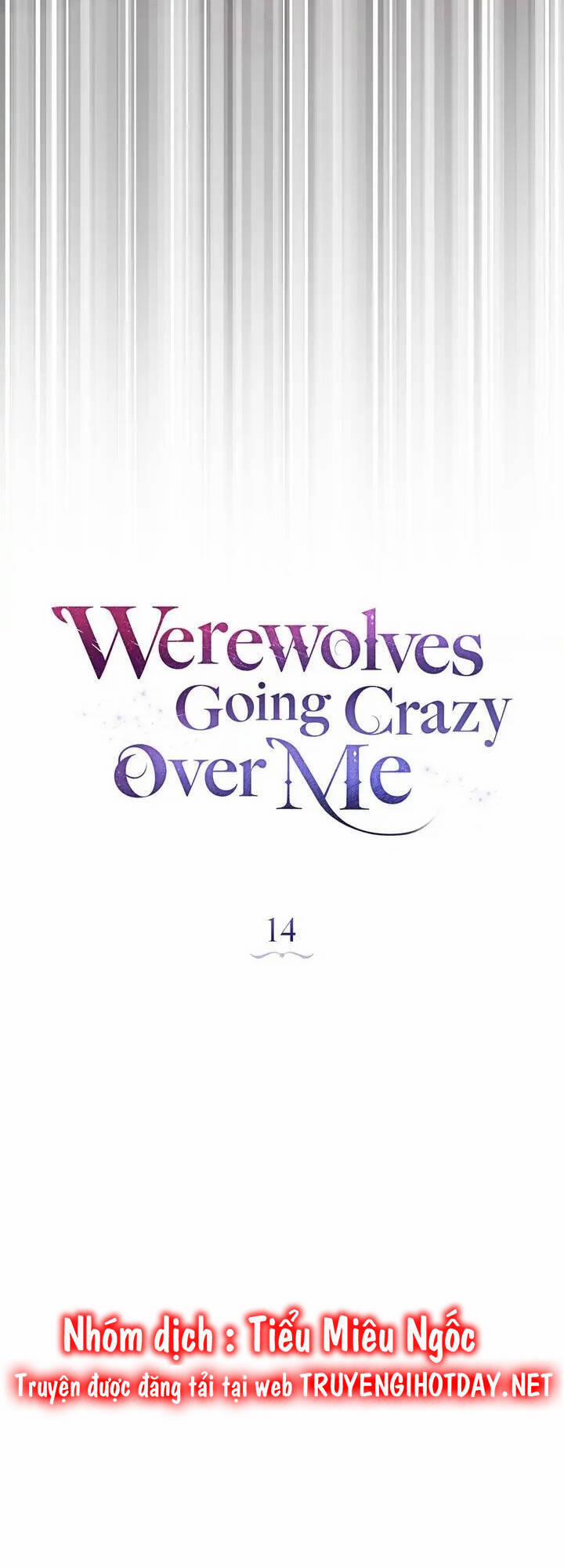 Chàng Người Sói Phát Điên Vì Tôi 14 trang 23