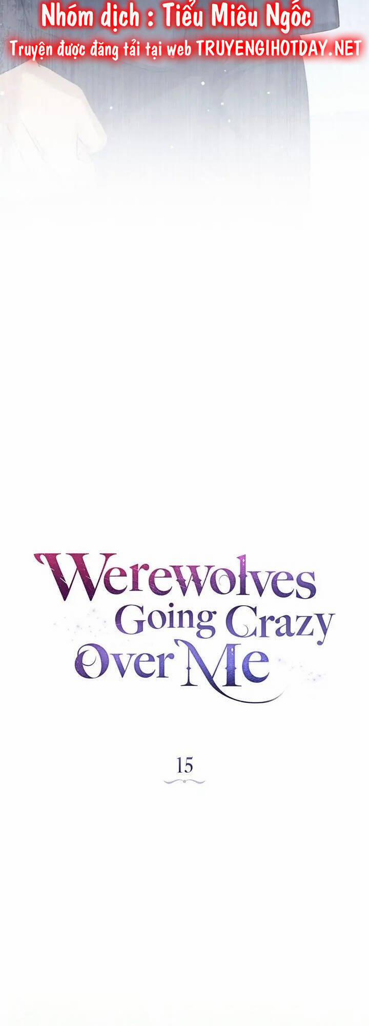 Chàng Người Sói Phát Điên Vì Tôi 15 trang 12