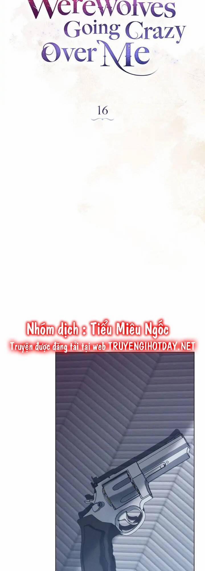 Chàng Người Sói Phát Điên Vì Tôi 16 trang 11