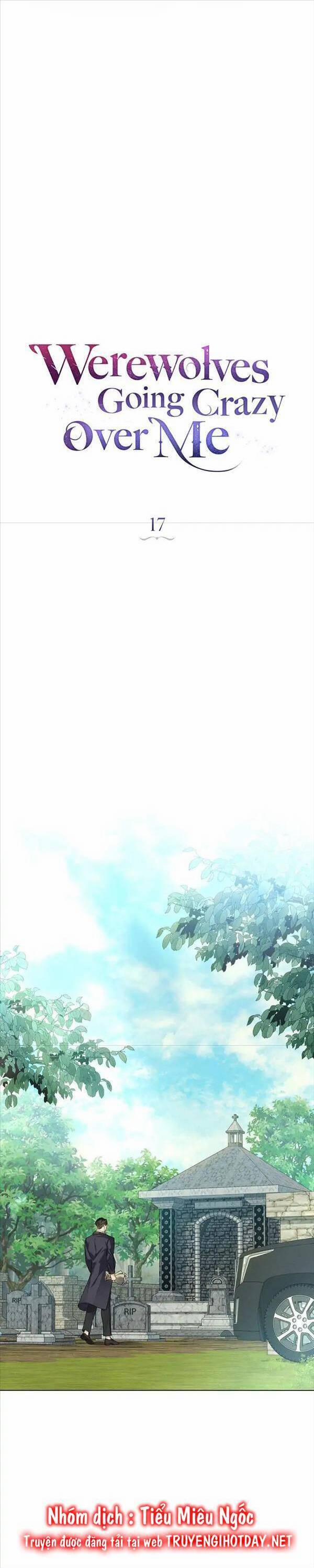 Chàng Người Sói Phát Điên Vì Tôi 17 trang 5