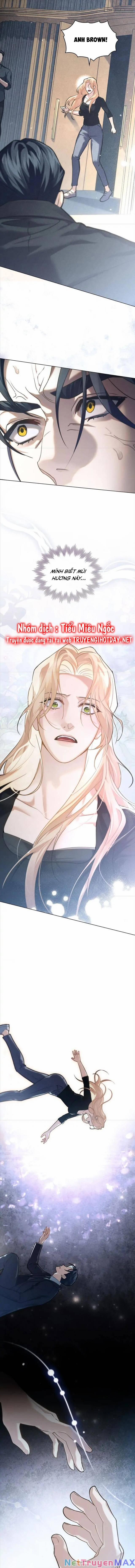 Chàng Người Sói Phát Điên Vì Tôi 20 trang 2