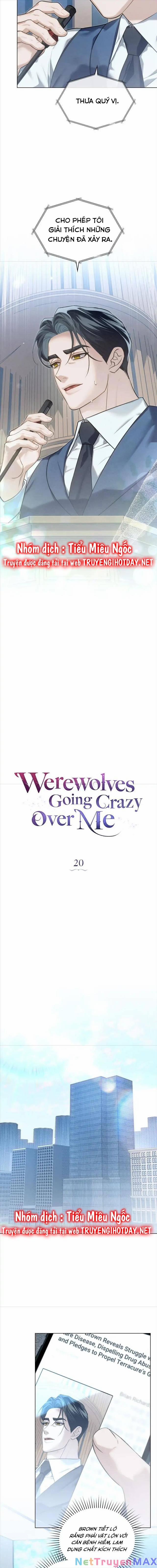 Chàng Người Sói Phát Điên Vì Tôi 20 trang 7