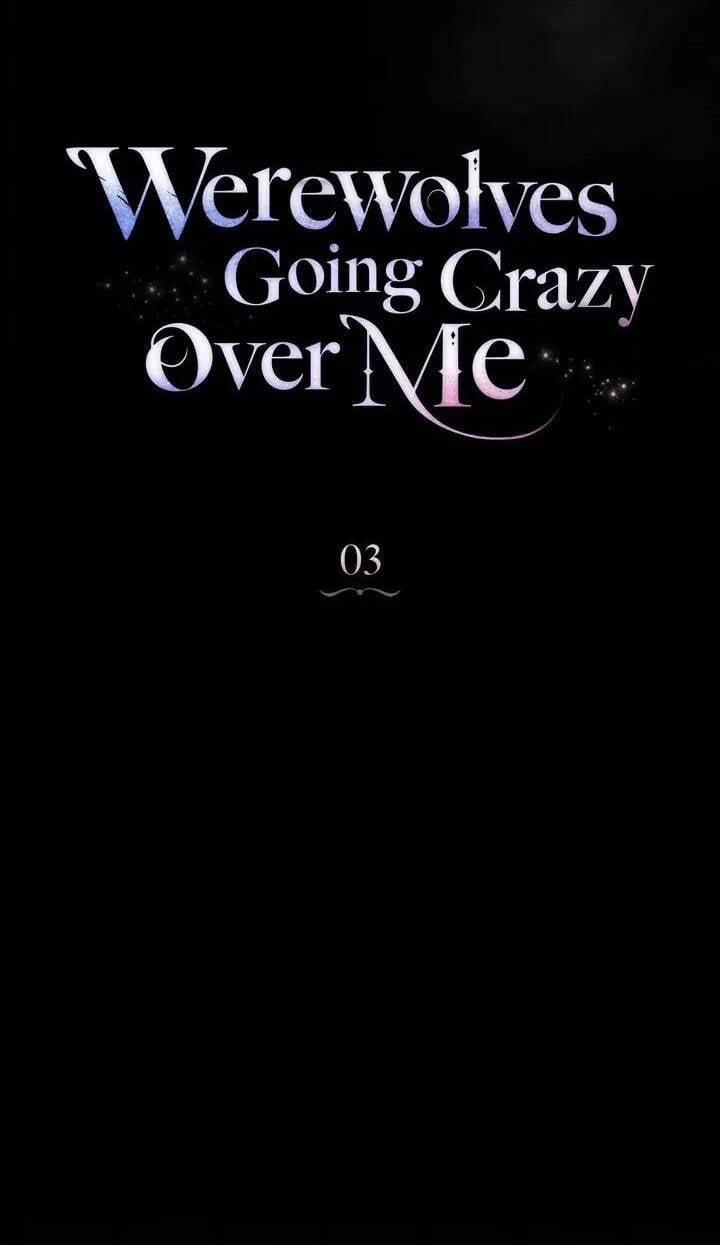 Chàng Người Sói Phát Điên Vì Tôi 3 trang 43