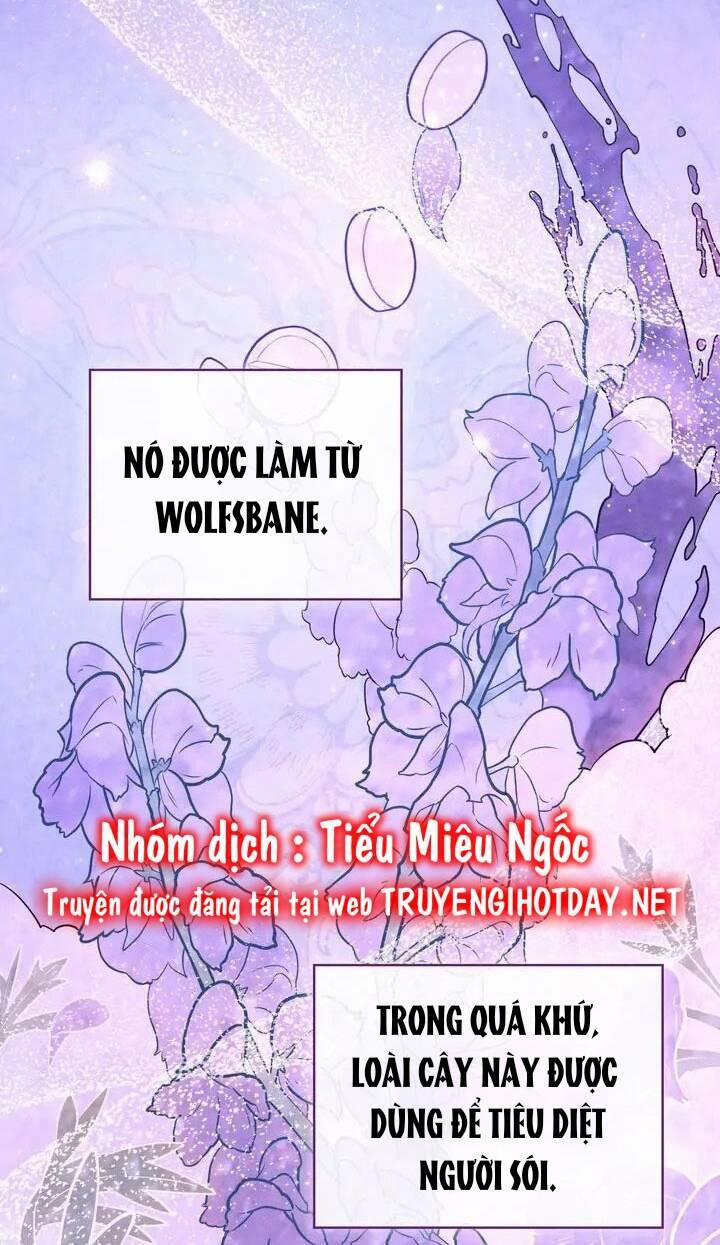 Chàng Người Sói Phát Điên Vì Tôi 3 trang 47