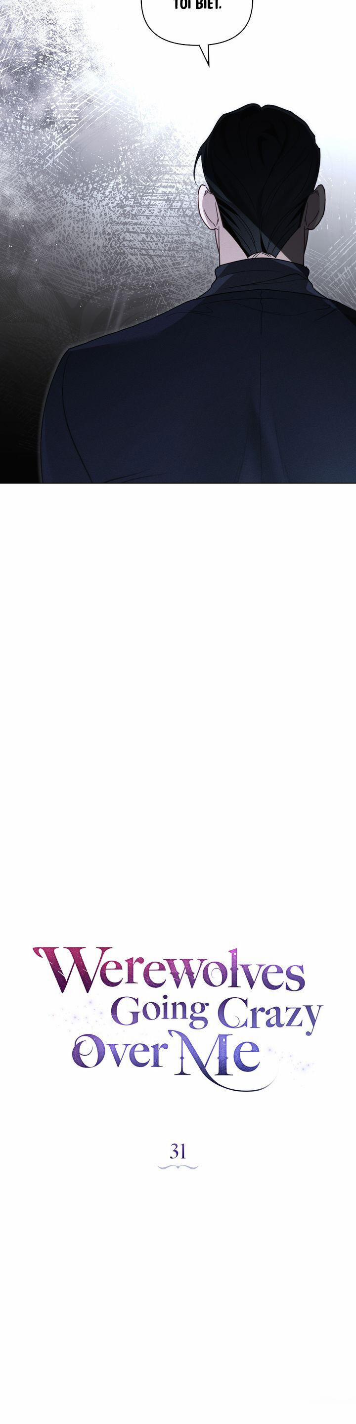 Chàng Người Sói Phát Điên Vì Tôi 31 trang 13