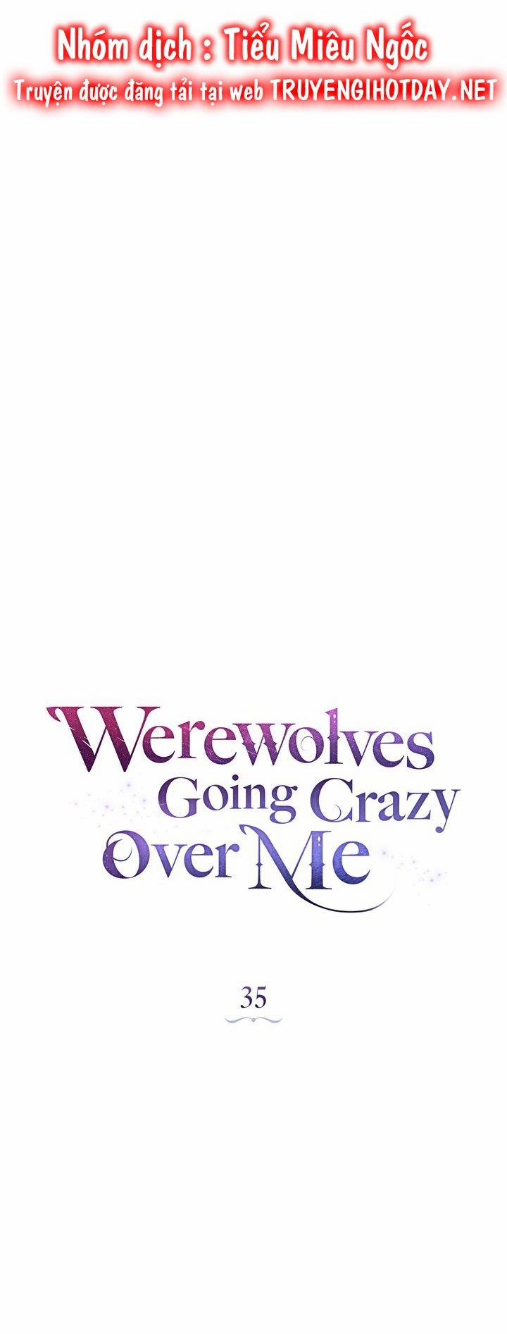 Chàng Người Sói Phát Điên Vì Tôi 35 trang 21