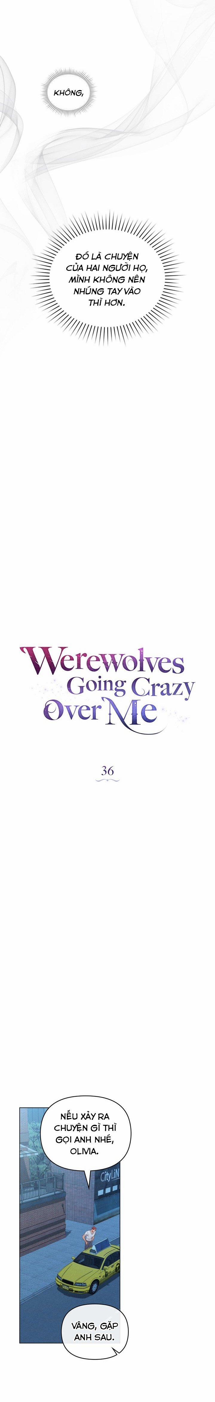 Chàng Người Sói Phát Điên Vì Tôi 36 trang 7