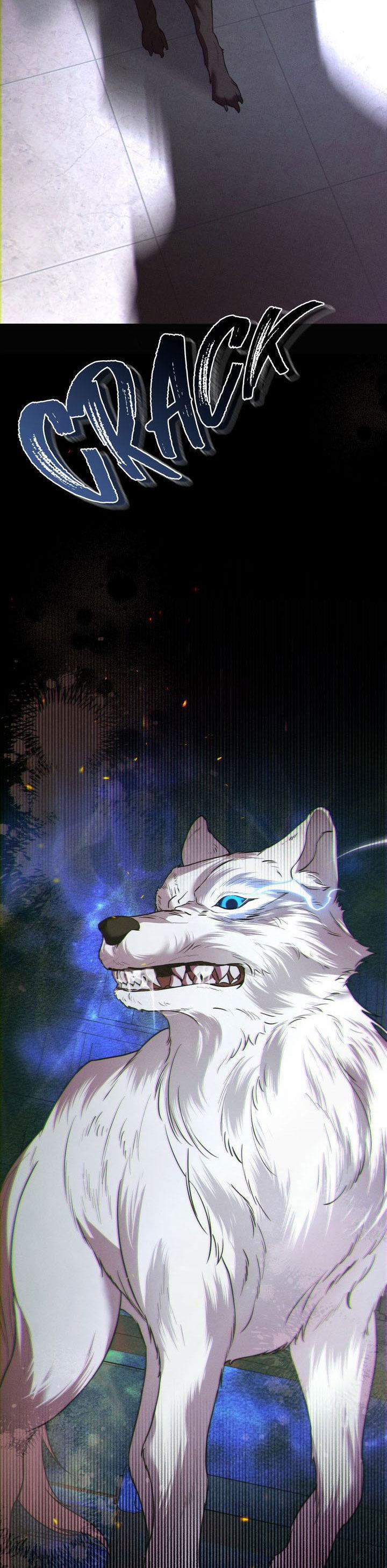 Chàng Người Sói Phát Điên Vì Tôi 37 trang 5