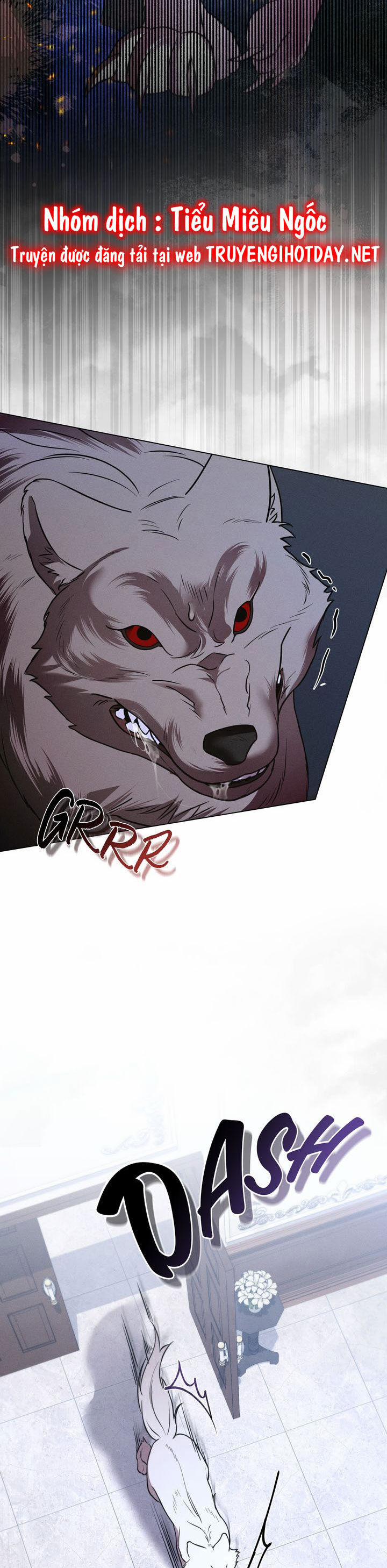 Chàng Người Sói Phát Điên Vì Tôi 37 trang 6