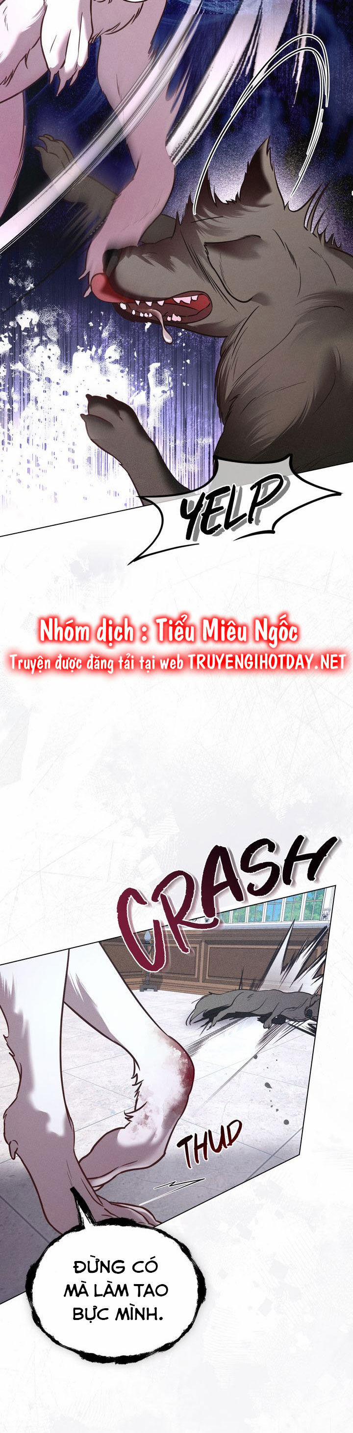 Chàng Người Sói Phát Điên Vì Tôi 37 trang 8