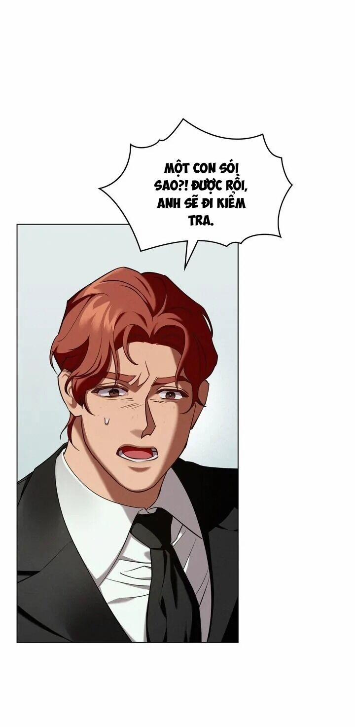 Chàng Người Sói Phát Điên Vì Tôi 39 trang 28