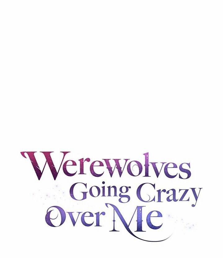 Chàng Người Sói Phát Điên Vì Tôi 39 trang 45