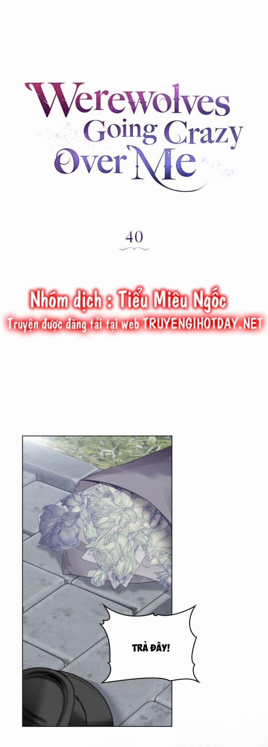 Chàng Người Sói Phát Điên Vì Tôi 40 trang 10