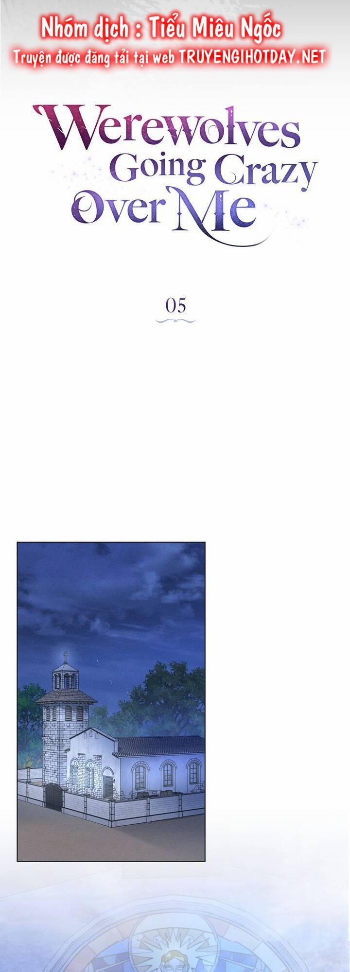 Chàng Người Sói Phát Điên Vì Tôi 5 trang 14