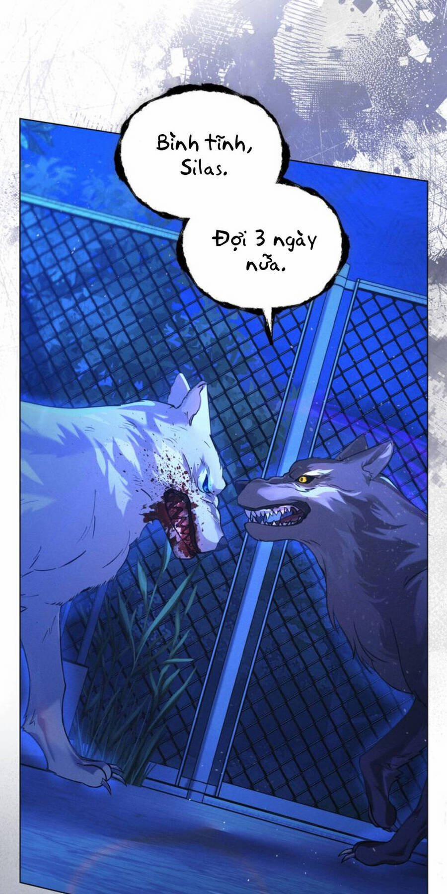 Chàng Người Sói Phát Điên Vì Tôi 7 trang 42