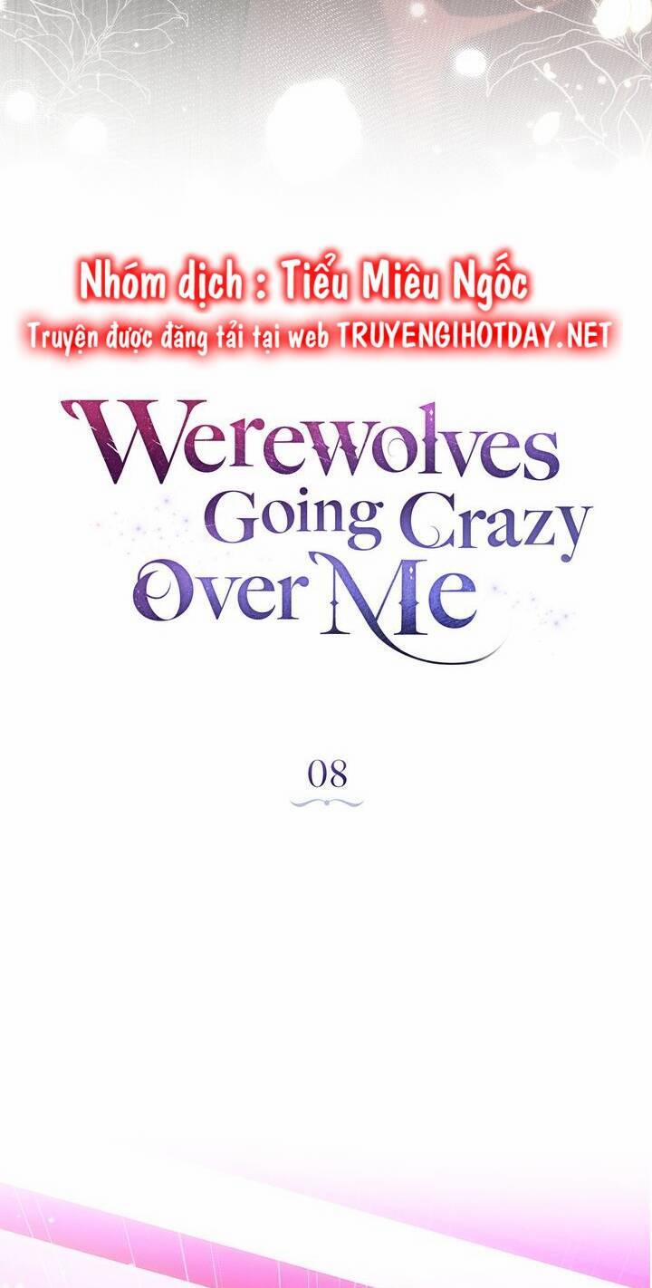 Chàng Người Sói Phát Điên Vì Tôi 8 trang 6