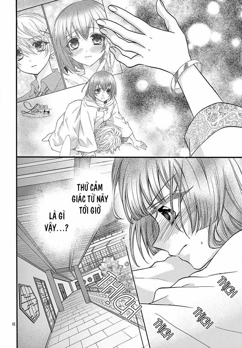 Chàng Rể Giả Nhân Giả Nghĩa 11 trang 11