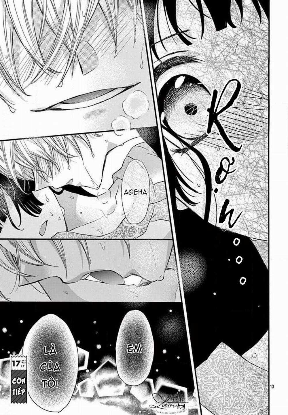 Chàng Rể Giả Nhân Giả Nghĩa 13 trang 14