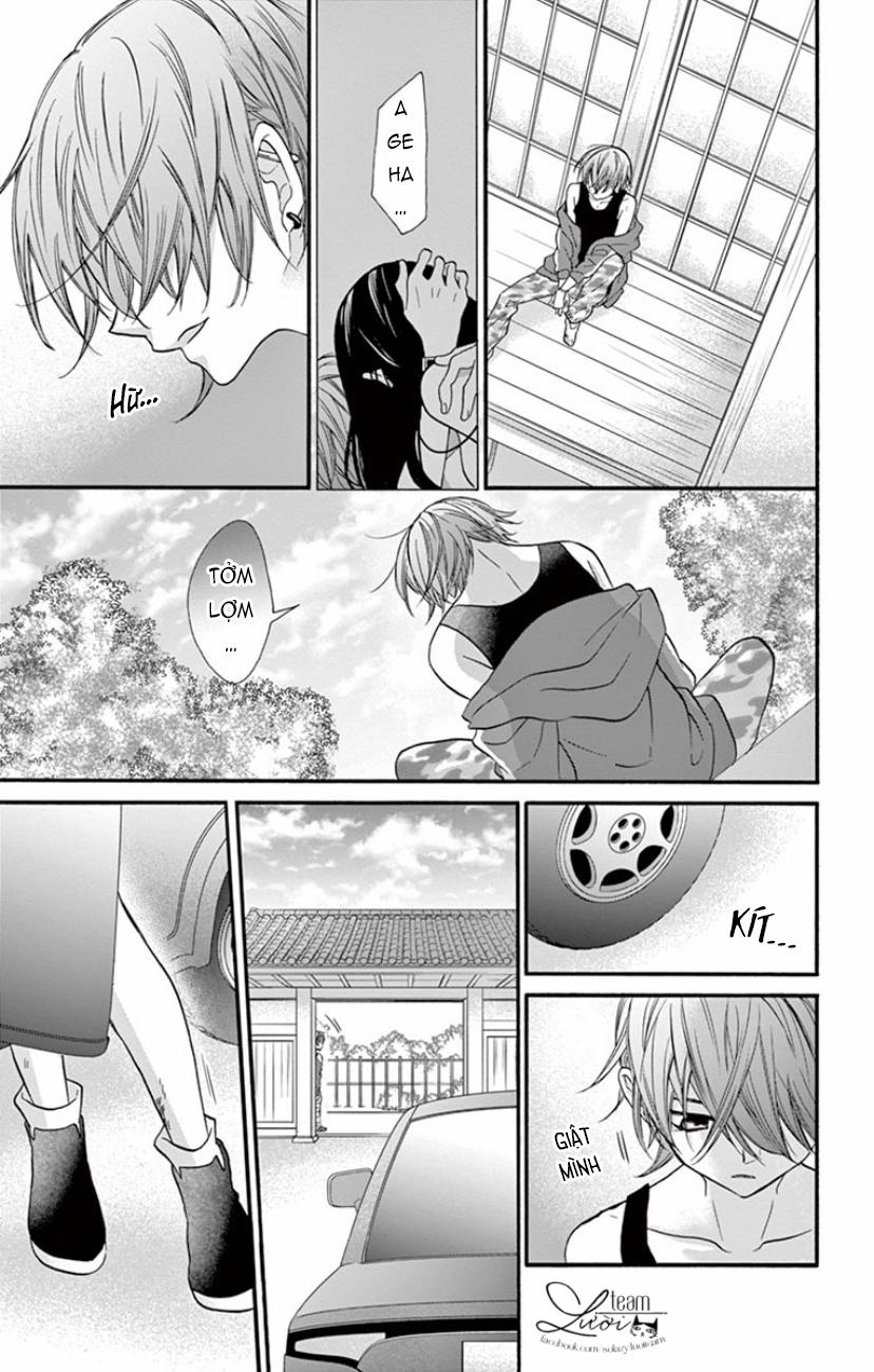 Chàng Rể Giả Nhân Giả Nghĩa 17 trang 13