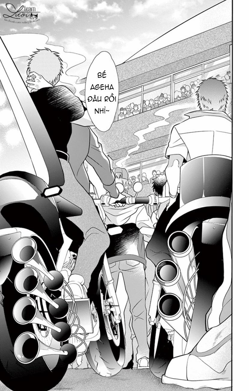 Chàng Rể Giả Nhân Giả Nghĩa 17 trang 19