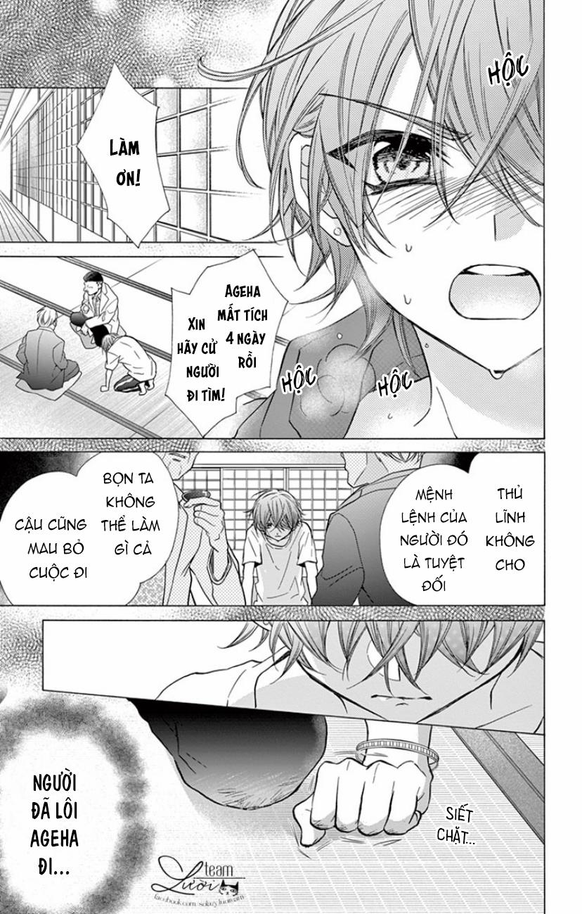 Chàng Rể Giả Nhân Giả Nghĩa 17 trang 5