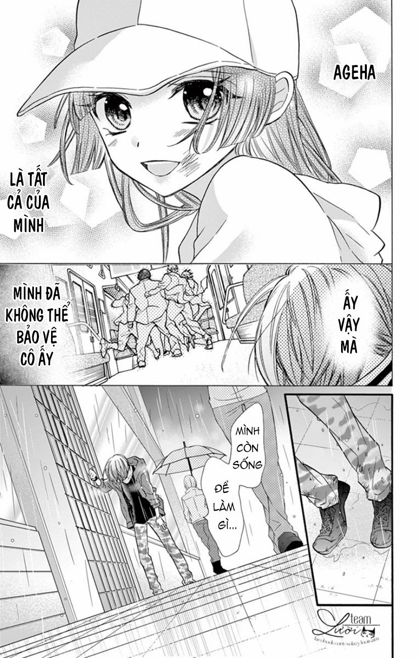 Chàng Rể Giả Nhân Giả Nghĩa 17 trang 7