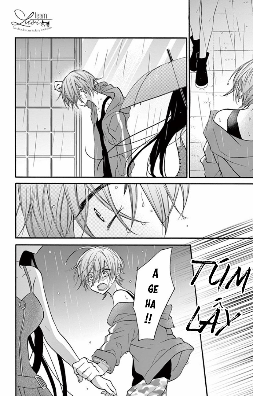 Chàng Rể Giả Nhân Giả Nghĩa 17 trang 8