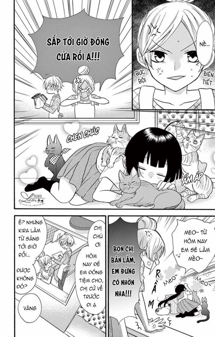 Chàng Rể Giả Nhân Giả Nghĩa 19 trang 14