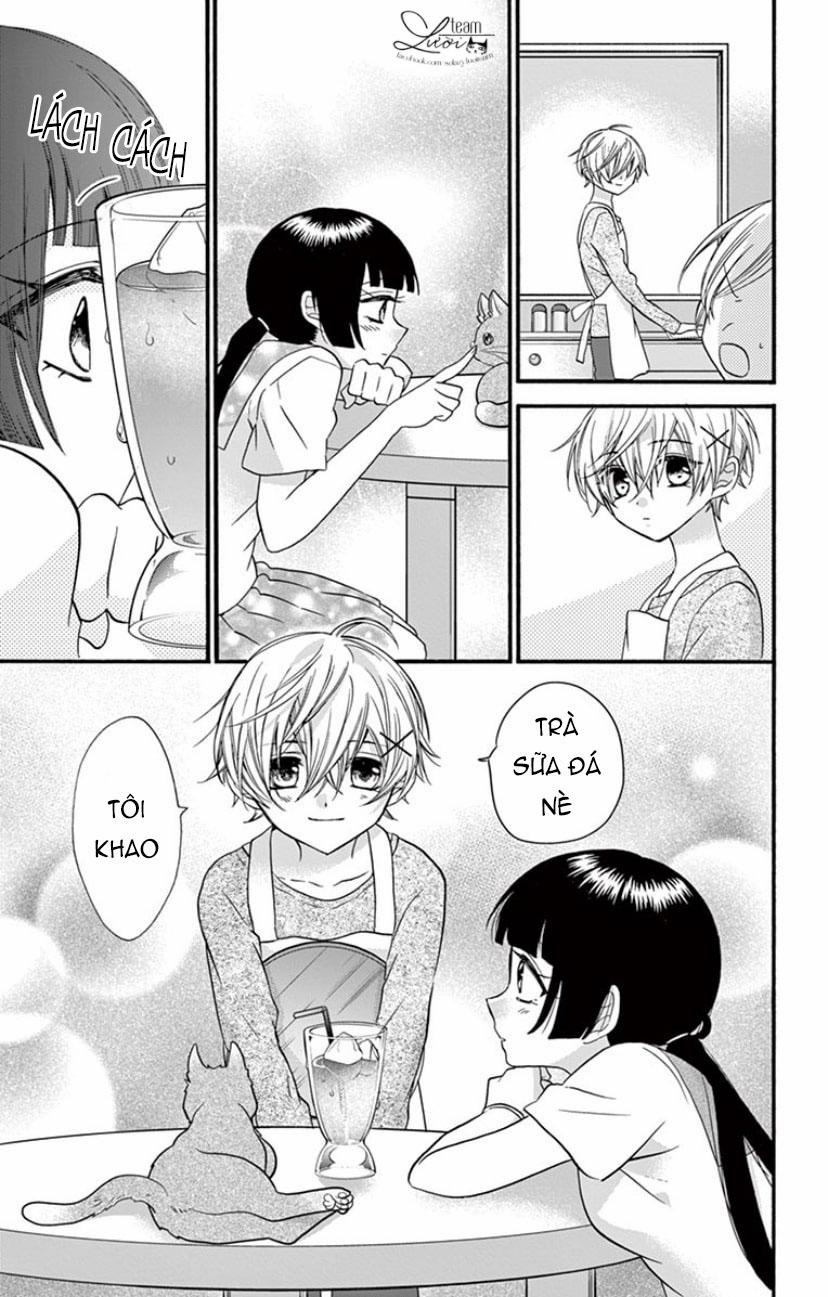 Chàng Rể Giả Nhân Giả Nghĩa 19 trang 15