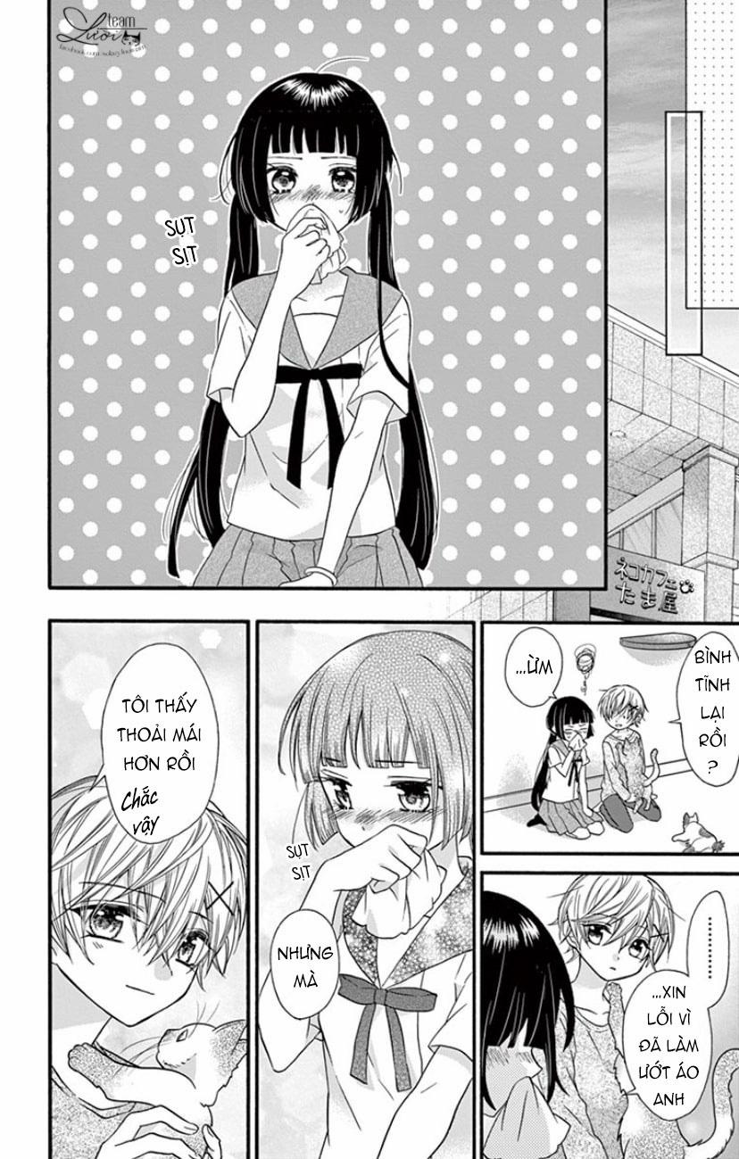 Chàng Rể Giả Nhân Giả Nghĩa 19 trang 24