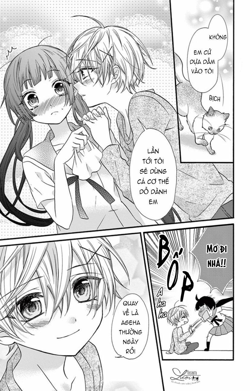 Chàng Rể Giả Nhân Giả Nghĩa 19 trang 25