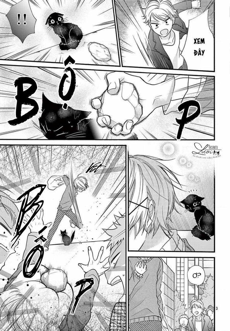 Chàng Rể Giả Nhân Giả Nghĩa 20.5 trang 4