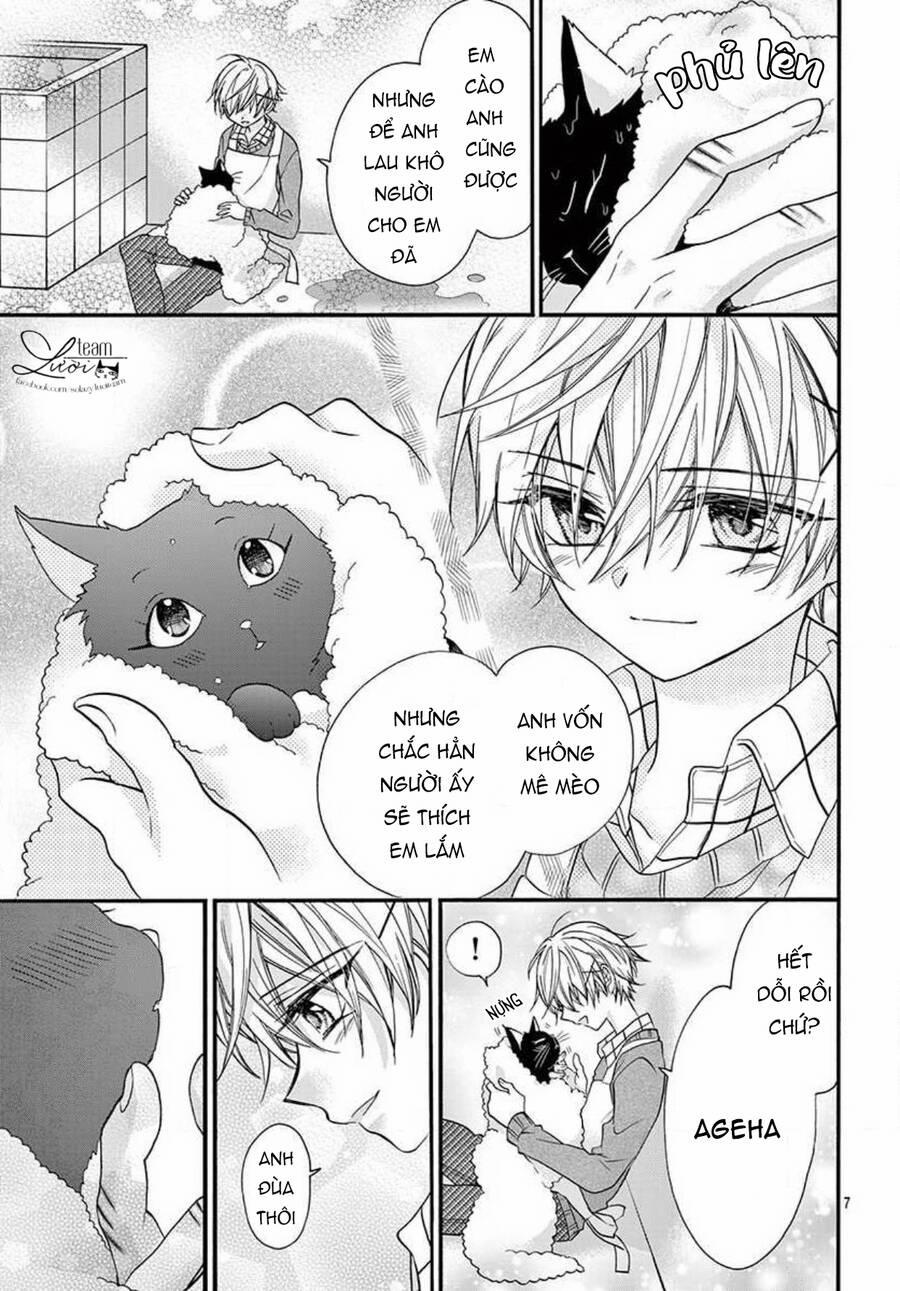 Chàng Rể Giả Nhân Giả Nghĩa 20.5 trang 8