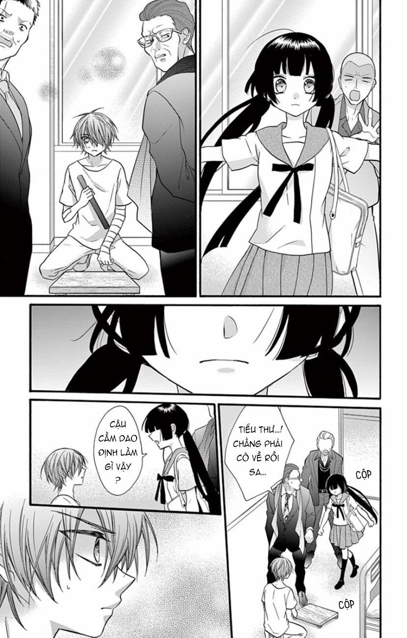 Chàng Rể Giả Nhân Giả Nghĩa 20 trang 11