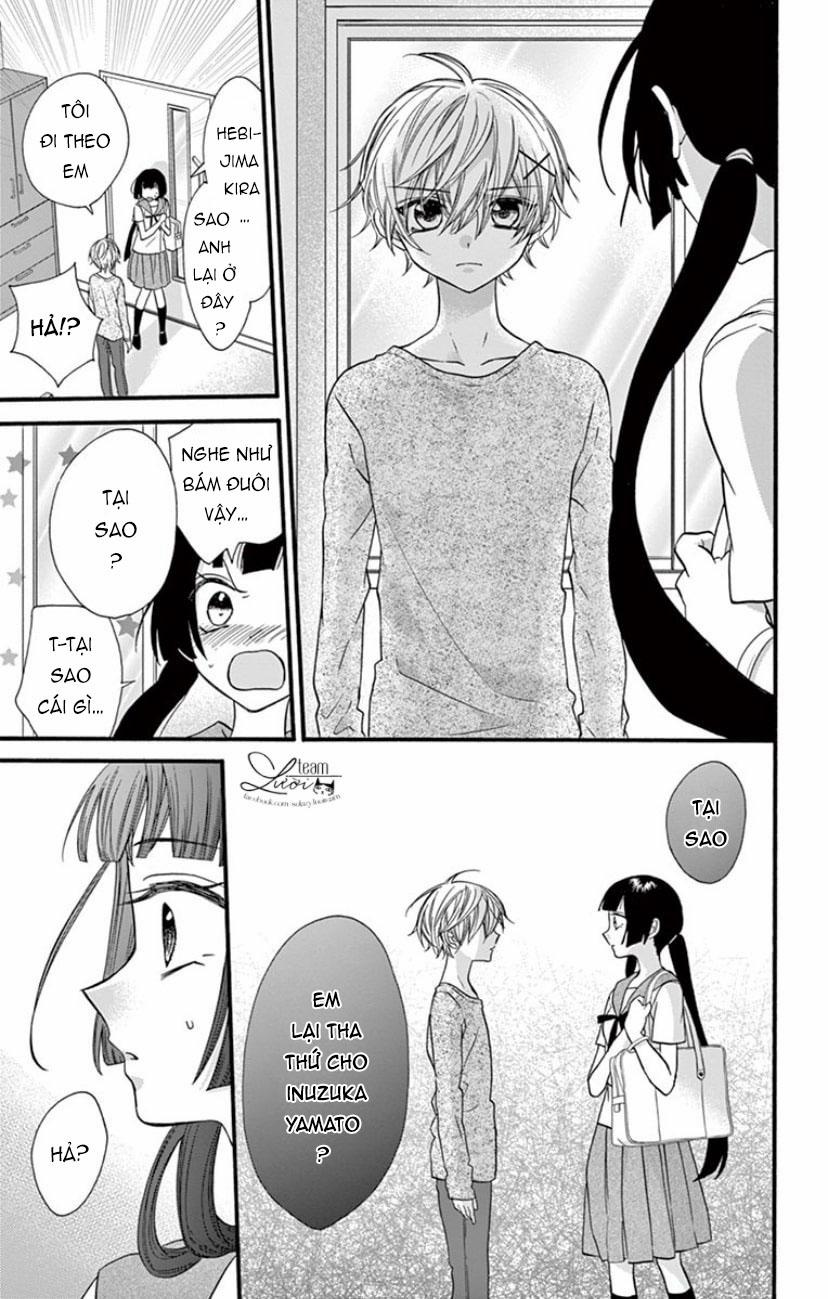 Chàng Rể Giả Nhân Giả Nghĩa 20 trang 20