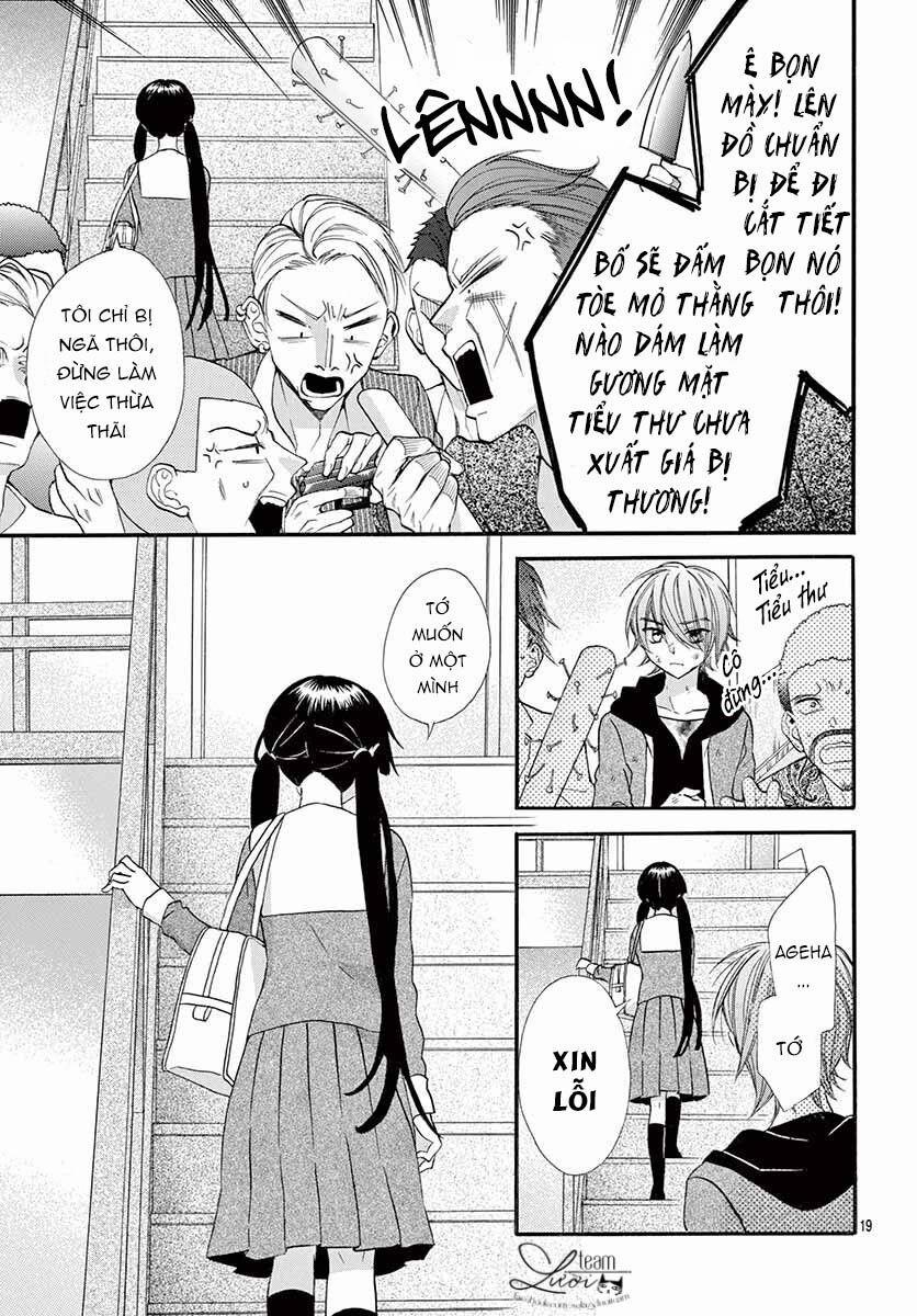 Chàng Rể Giả Nhân Giả Nghĩa 4 trang 20