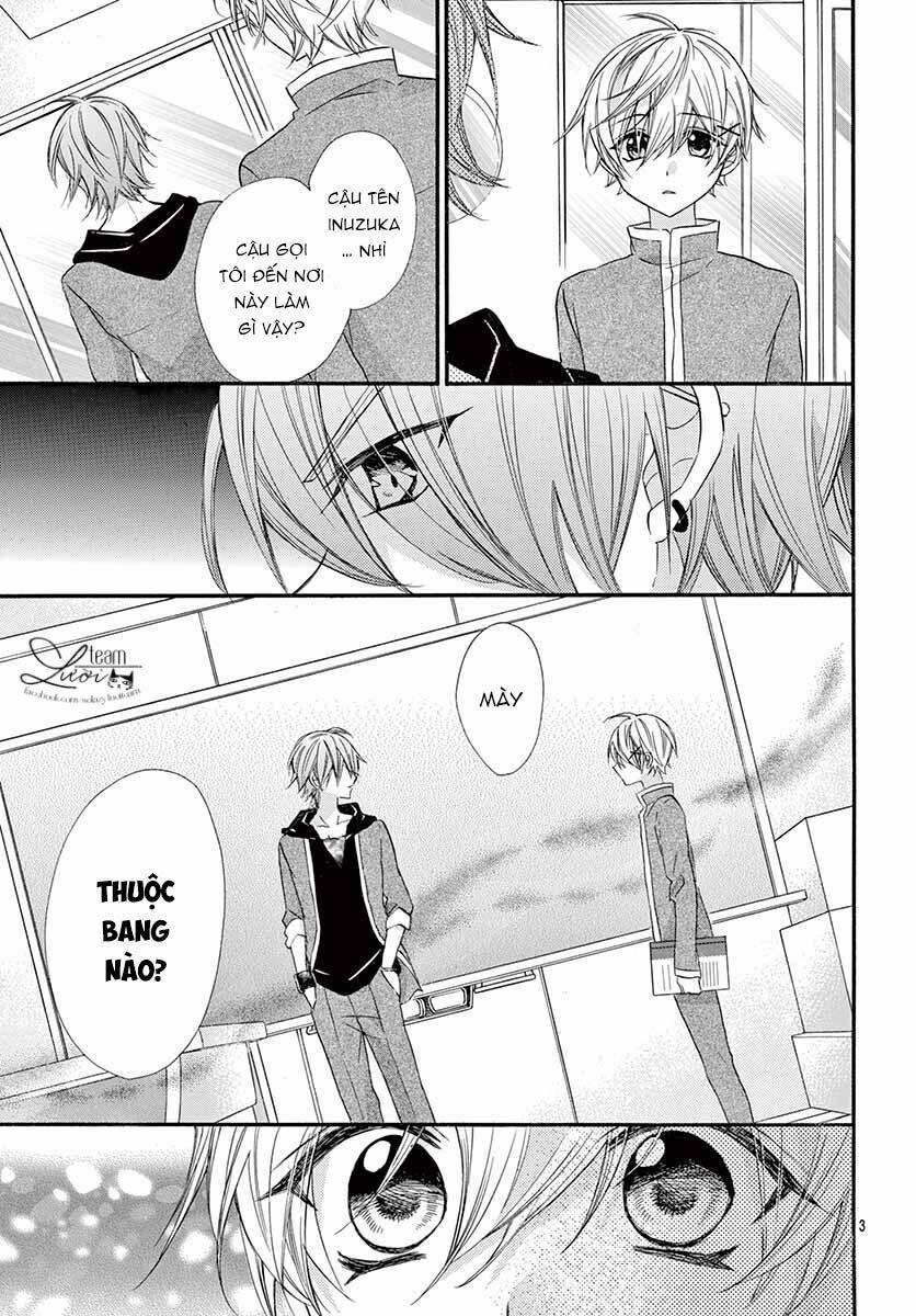 Chàng Rể Giả Nhân Giả Nghĩa 4 trang 4